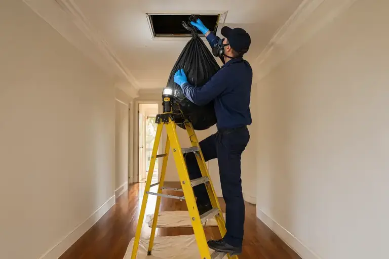 Dead Animal Removal Service — Aussie Pest Strike