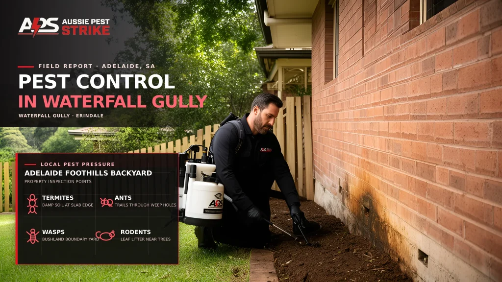 Pest Control in Waterfall Gully — Aussie Pest Strike